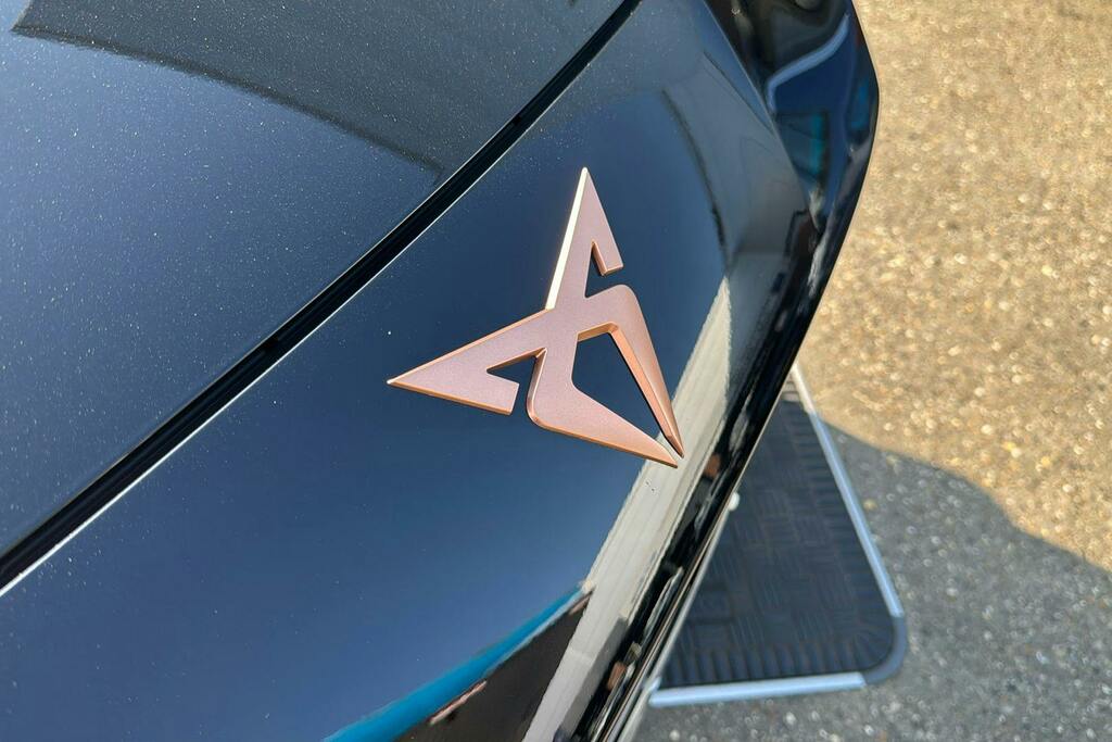 Cupra Terramar Cupra Terramar V2 Blue #20