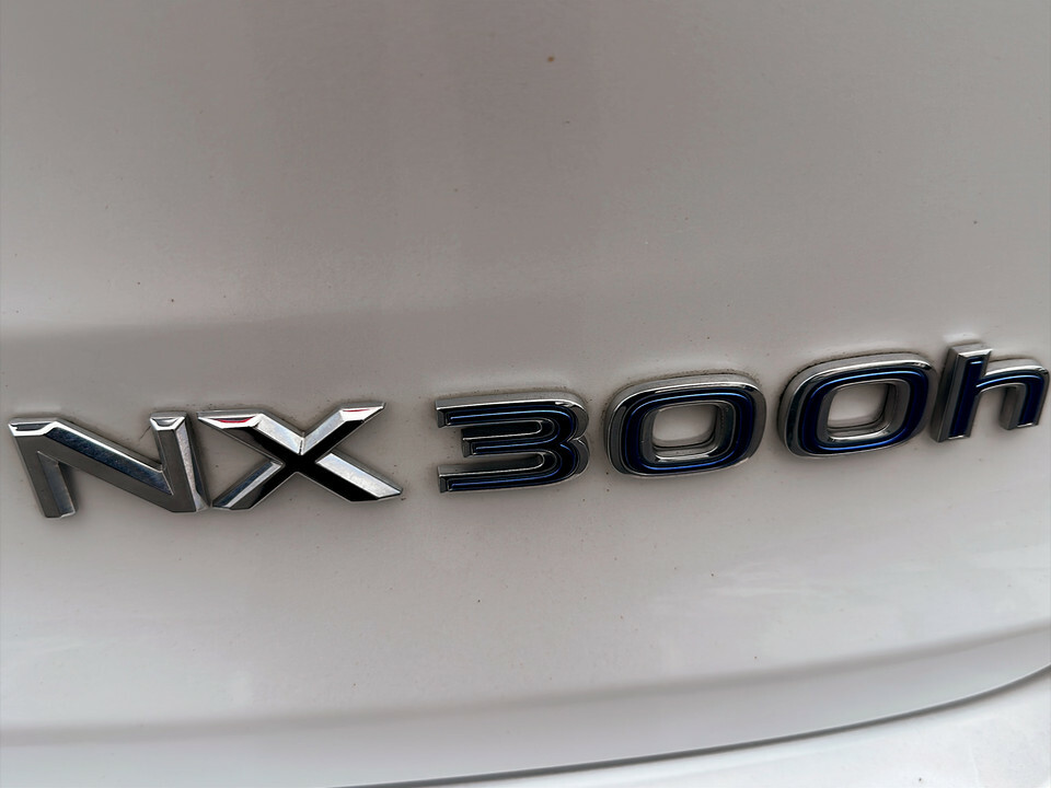 Lexus NX Lexus Nx 300H 2.5 Cvt Black #10