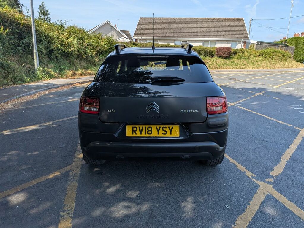 Citroen C4 Cactus Flair Blue Hdi Black #6