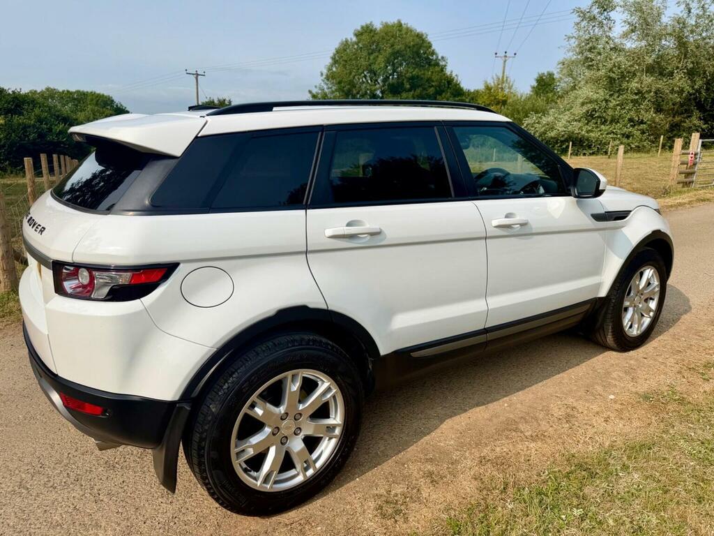 Land Rover Range Rover Evoque 2.2 Sd4 Pure Tech 4Wd Euro 5 Ss 2014 White #6
