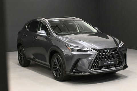 Lexus NX Cvt 4Wd Grey #4