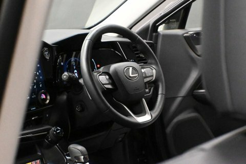 Lexus NX Cvt 4Wd Grey #5