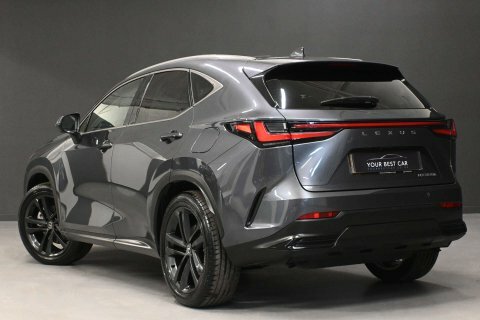 Lexus NX Cvt 4Wd Grey #2