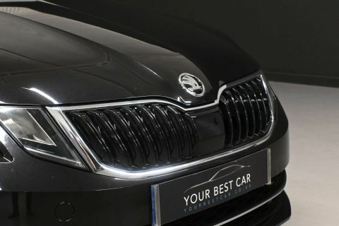 Skoda Octavia Grey #12