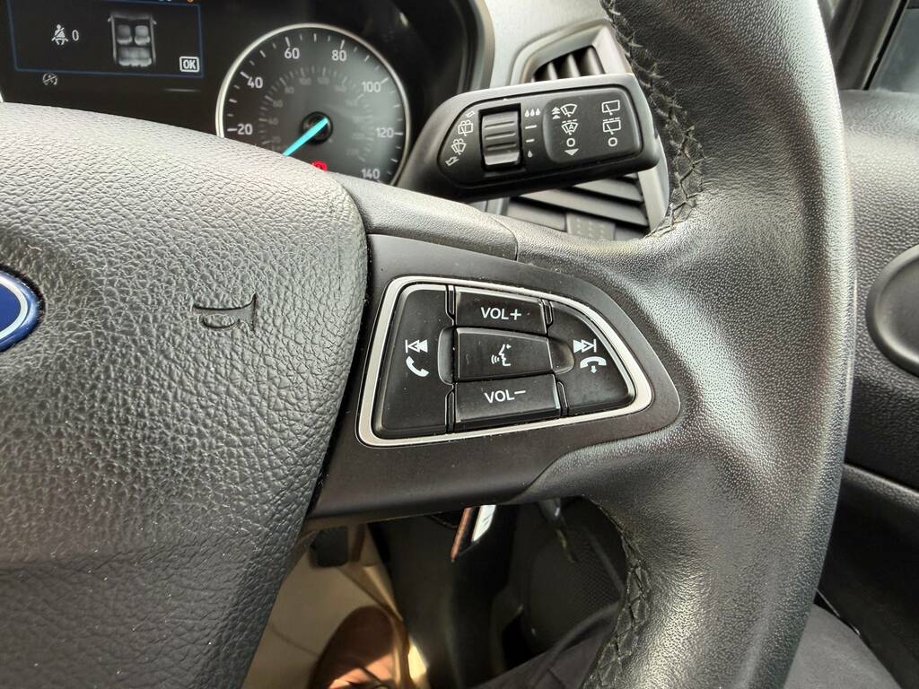Ford Ecosport Titanium Grey #6