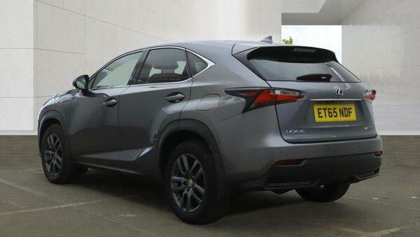 Lexus NX Luxury Grey #4