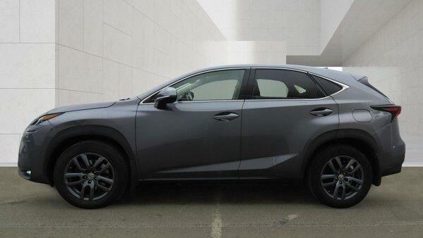 Lexus NX Luxury Grey #5
