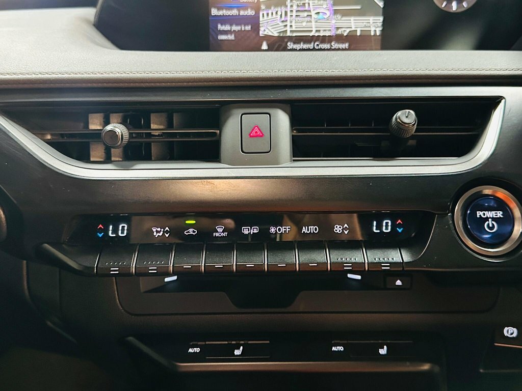 Lexus UX Premium Plus Pack Green #44