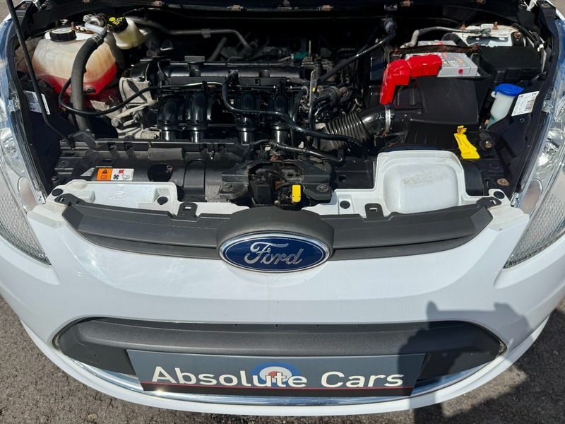 Ford Fiesta 1.25 Zetec Brown #31