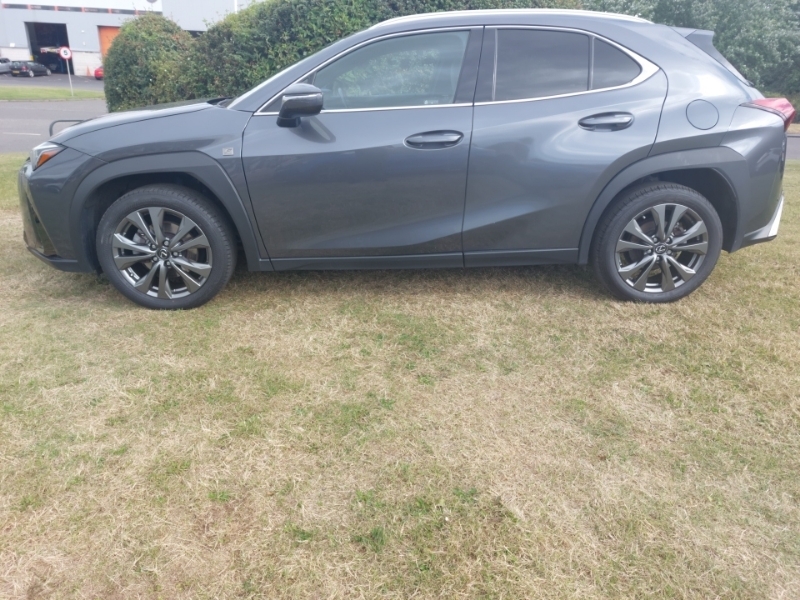 Lexus UX 250H 2.0 F-sport Design Cvt SN23MHS Grey #4