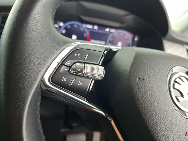 Skoda Kodiaq Se L Executive Blue #12