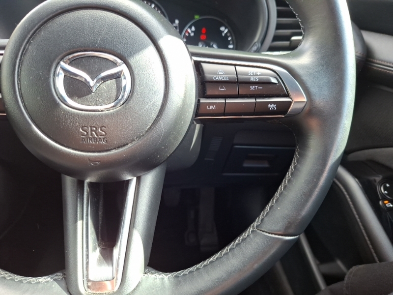 Mazda 3 2.5 E-skyactiv-g Mhev Homura Euro 6 Ss Red #13