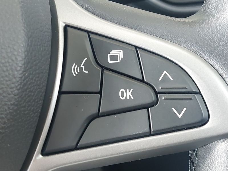 Dacia Sandero Stepway 1.0 Tce Bi-fuel Journey Grey #13
