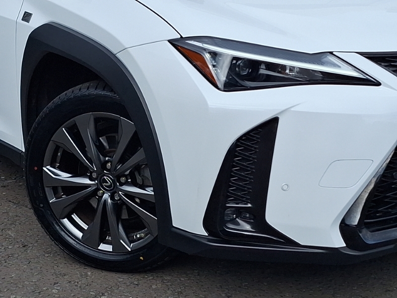 Lexus UX 300E 54.3Kwh Suv 204 Ps White #18