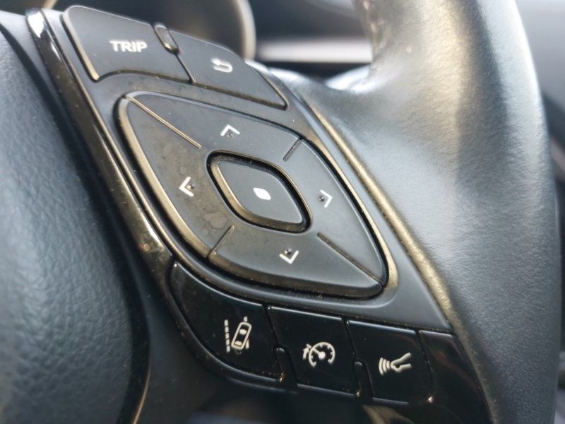 Toyota C-Hr Icon Grey #17