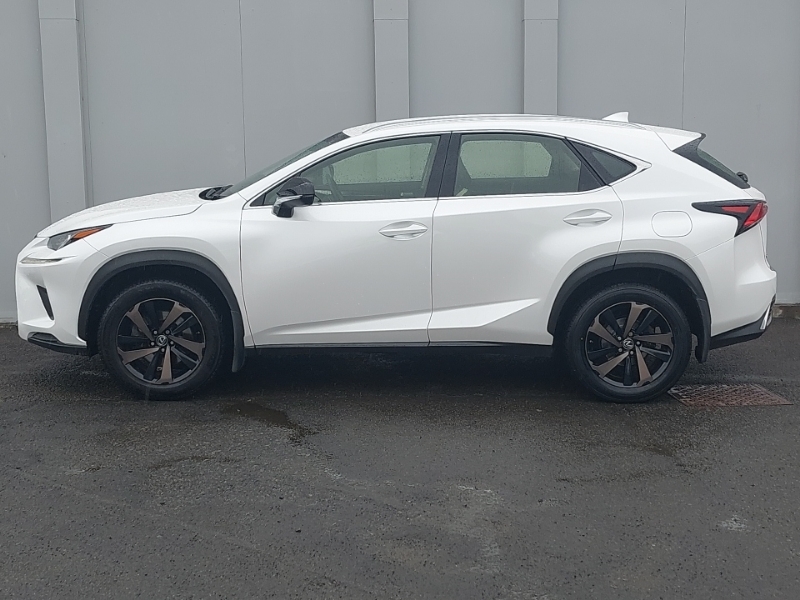 Lexus NX 300H 2.5 Sport Cvt Premium Nav White #4