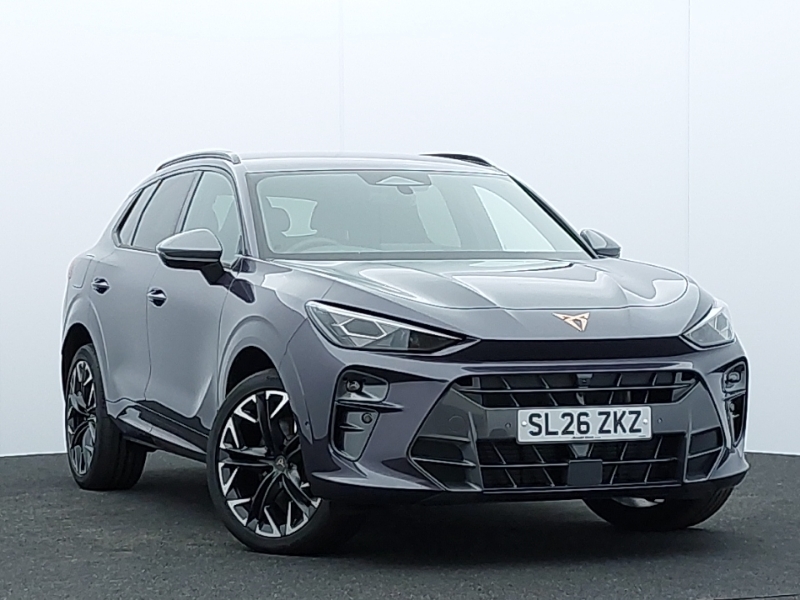 Cupra Terramar 2.0 Tsi 265 Vz2 Dsg 4Drive Purple