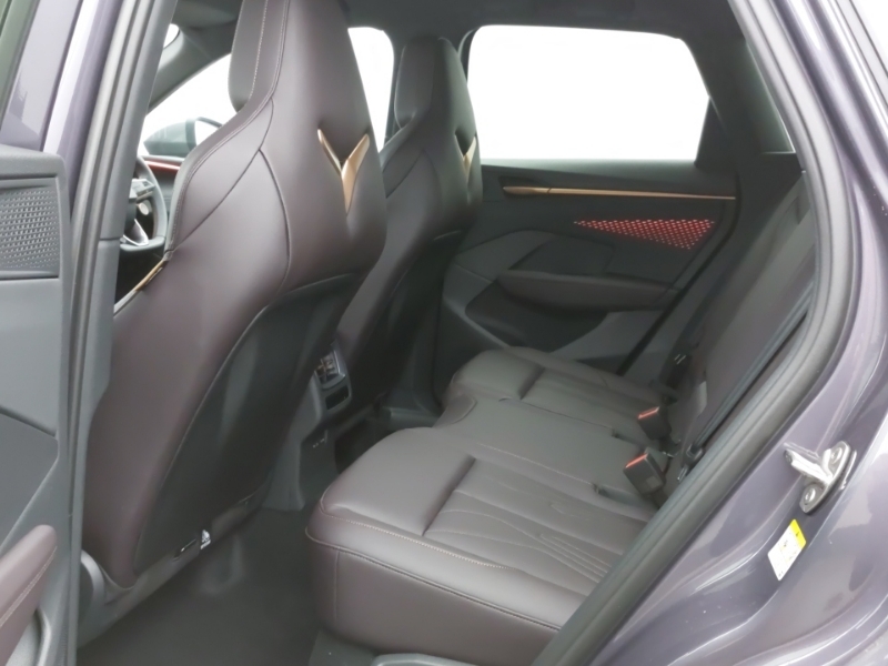 Cupra Terramar 2.0 Tsi 265 Vz2 Dsg 4Drive Purple #6