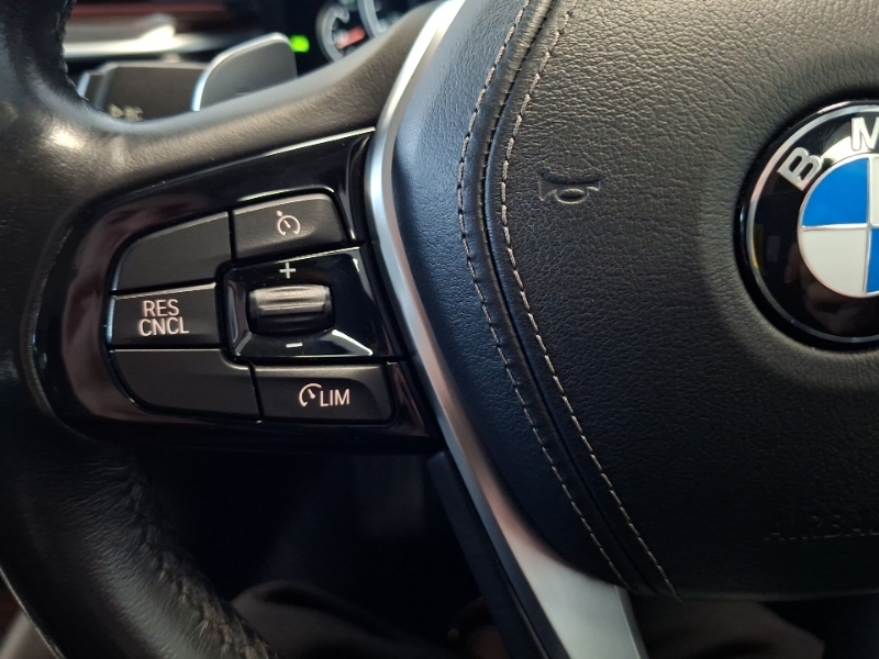 BMW 5 Series 530I Se Saloon Blue #12