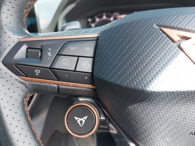 Cupra Formentor Formentor 2.0 Tsi 333 Vz3 Dsg 4Drive Grey #12