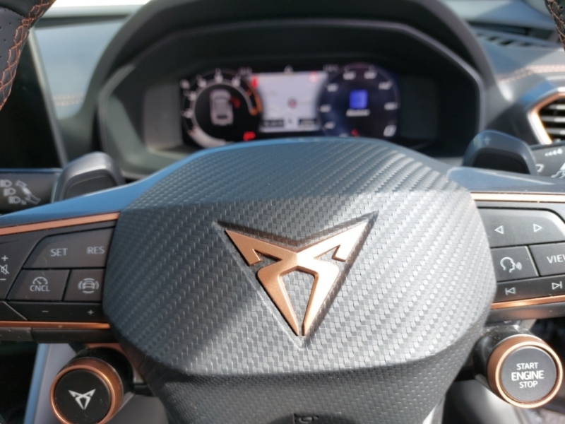 Cupra Formentor Formentor 2.0 Tsi 333 Vz3 Dsg 4Drive Grey #17