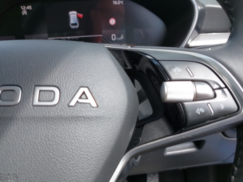 Skoda Fabia 1.0 Tsi 116 Monte Carlo Edition Dsg Grey #13