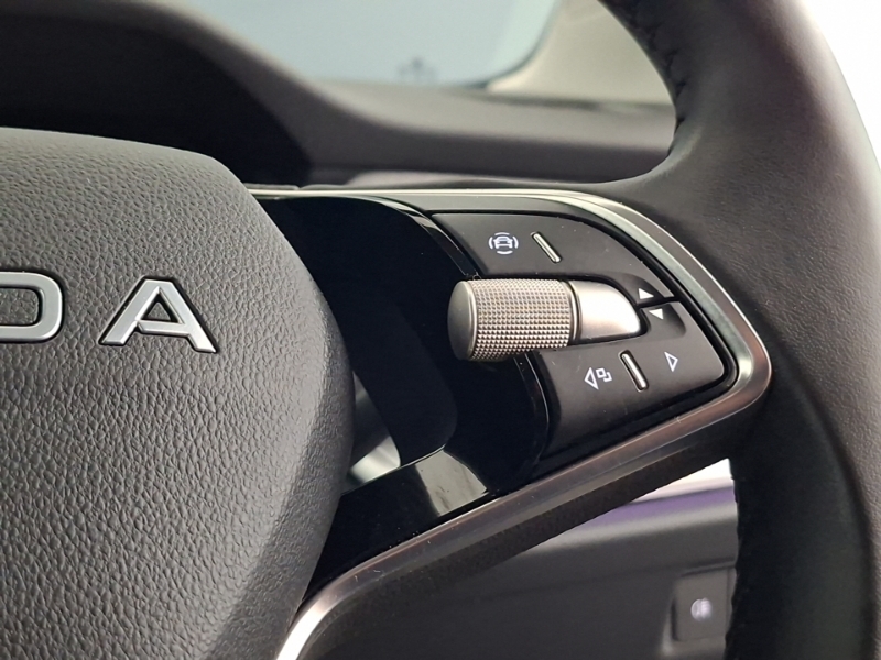 Skoda ENYAQ Enyaq 85 Edition Grey #13