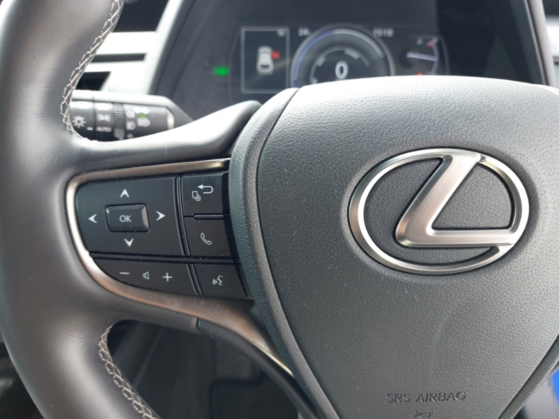 Lexus UX 2.0 F Sport Premium Plus E-cvt Euro 6 Ss Grey #12