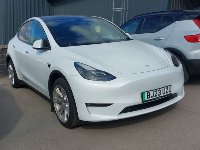 Tesla Model Y Long Range Awd White