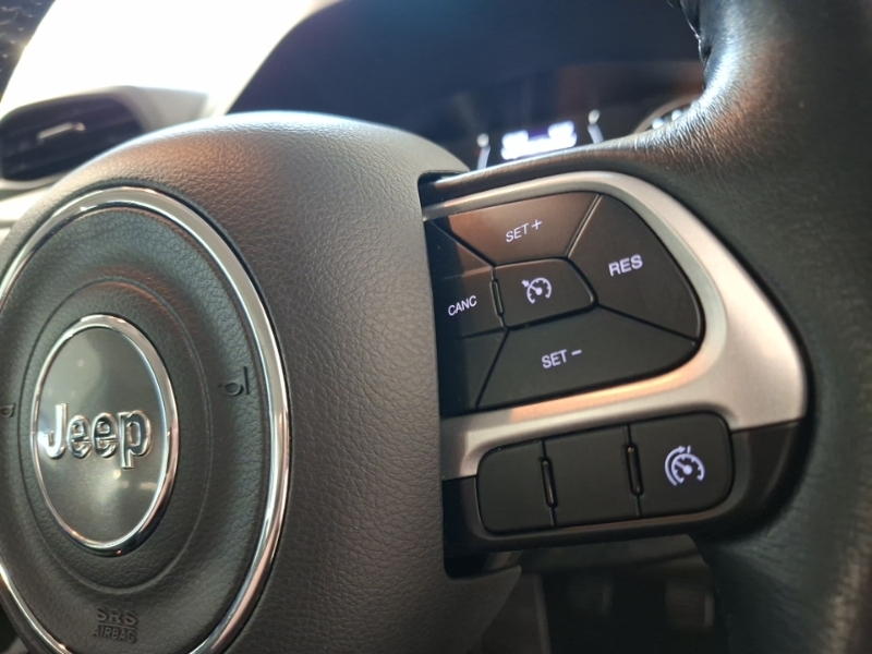 Jeep Renegade Renegade Limited Edition Multijet Black #13