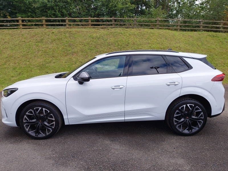 Cupra Terramar 2.0 Tsi 265 Vz2 Dsg 4Drive White #4
