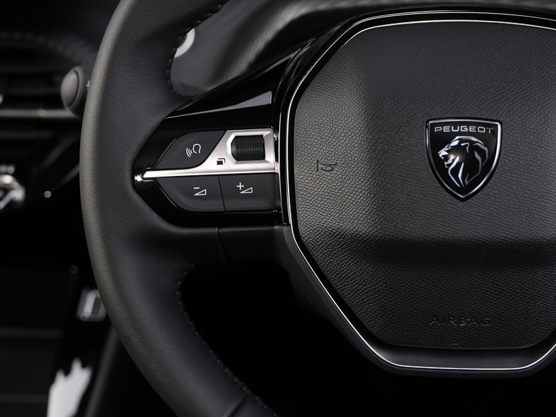 Peugeot 208 1.2 Hybrid 110 Gt E-dsc6 Black #13
