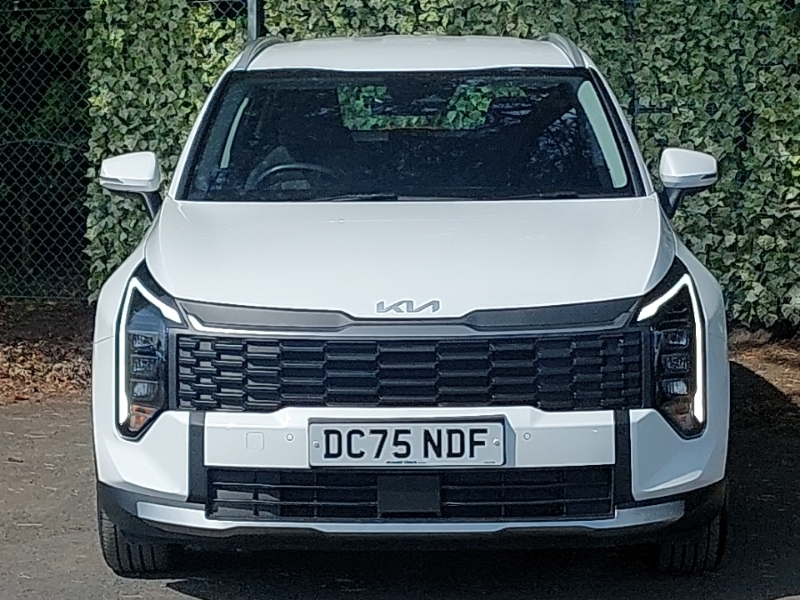 Kia Sportage 1.6T Gdi Hev Gt-line Green #14