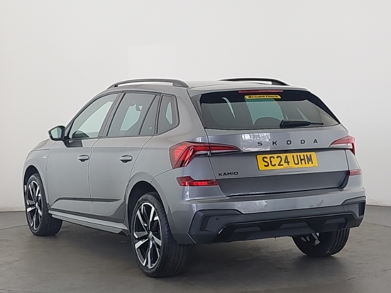 Skoda Kamiq 1.0 Tsi Monte Carlo Dsg Grey #2