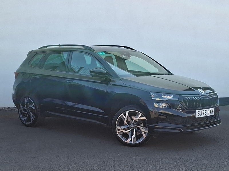 Skoda Karoq 1.5 Tsi Sportline Edition Dsg Grey #7