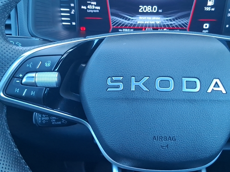 Skoda Karoq 1.5 Tsi Sportline Edition Dsg Grey #12