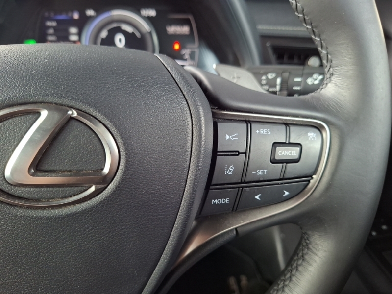 Lexus UX 250H F-sport Premium Plus Sunroof Grey #12