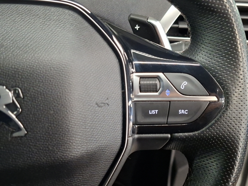 Peugeot 3008 Hybrid  #13