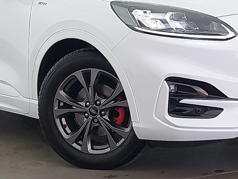 Ford Kuga 1.5T Ecoboost St Line X Suv Euro White #19