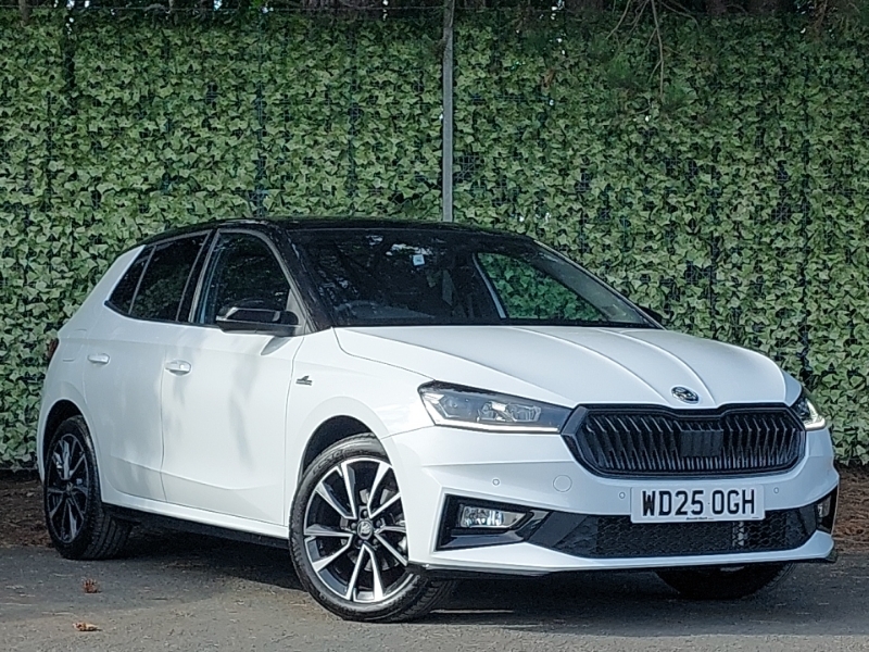 Skoda Fabia Tsi Se L Edition Dsg Euro 6 5-Door Grey #1