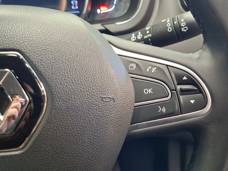 Renault Grand Scenic 1.3L Signature White #13