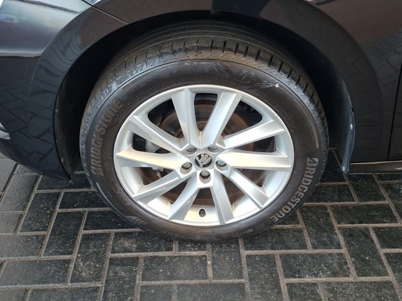 Skoda Kamiq 1.0 Tsi Monte Carlo Dsg Grey #19