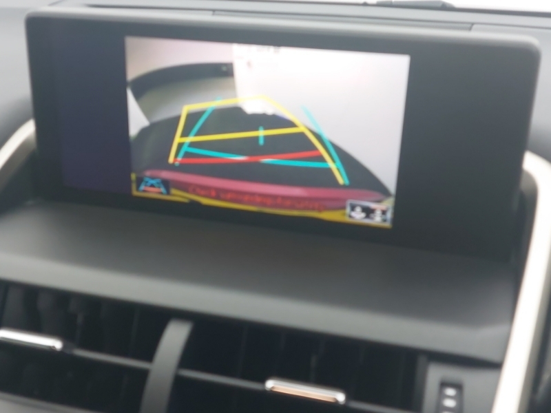 Lexus NX 300H 2.5 F-sport Premium Nav Pan Roof Black #9
