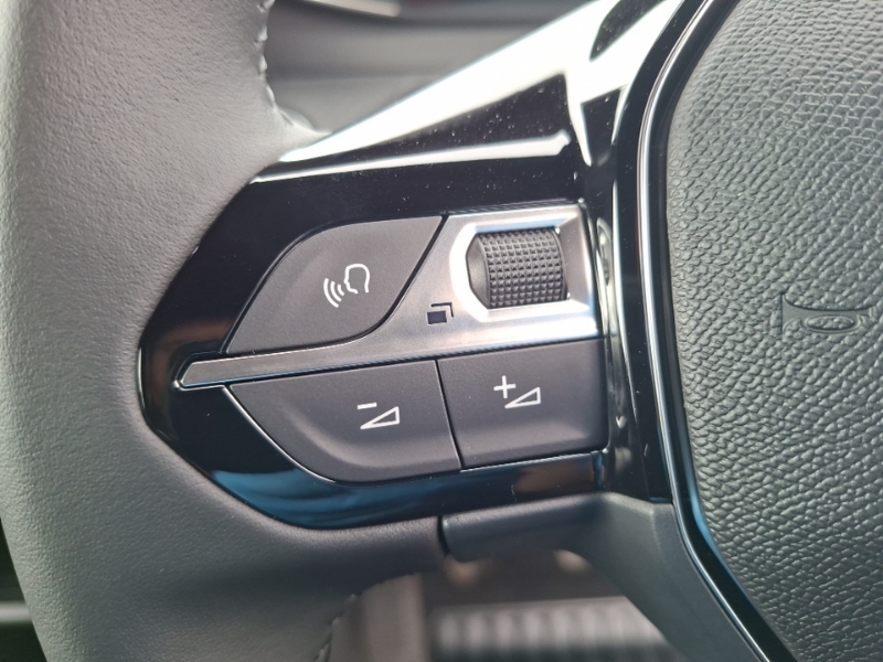 Peugeot 2008 Peugeot 2008 Allure Blue #12