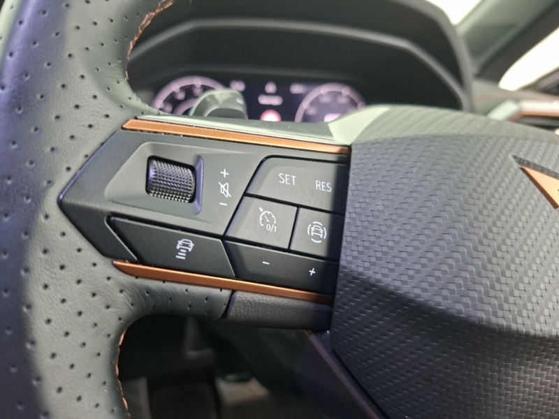 Cupra Formentor 2.0 Tsi Vz3 Suv Dsg 4Drive Euro 6 Ss Grey #12