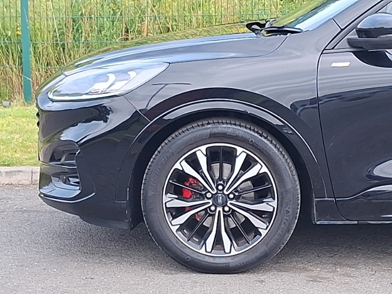 Ford Kuga Ford 2.5 Fhev St-line X Edition Cvt Estate Black #19