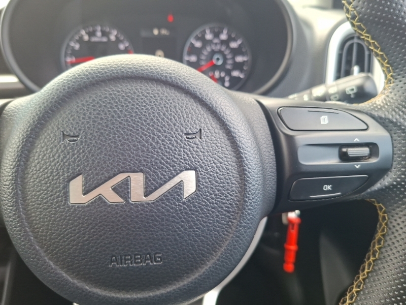 Kia Picanto Picanto 1.0 Dpi 3 Hatchback Amt Euro 6 Red #12