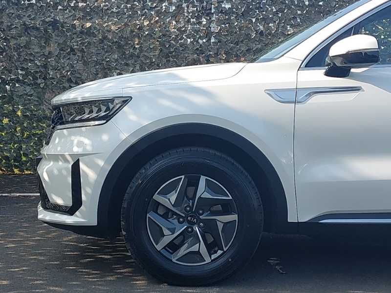 Kia Sorento 1.6 H T-gdi 2 Suv Hybrid Awd Euro #19