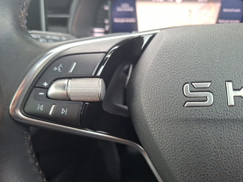 Skoda Kamiq 1.0 Tsi Monte Carlo Edition Dsg Blue #13