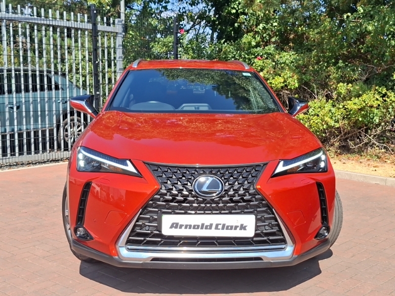 Lexus UX 300H 2.0 F-sport Takumi Cvt Grey #14